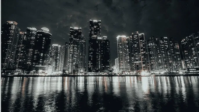 含羞草免费视频 - 城市之光：霓虹背后的人间烟火